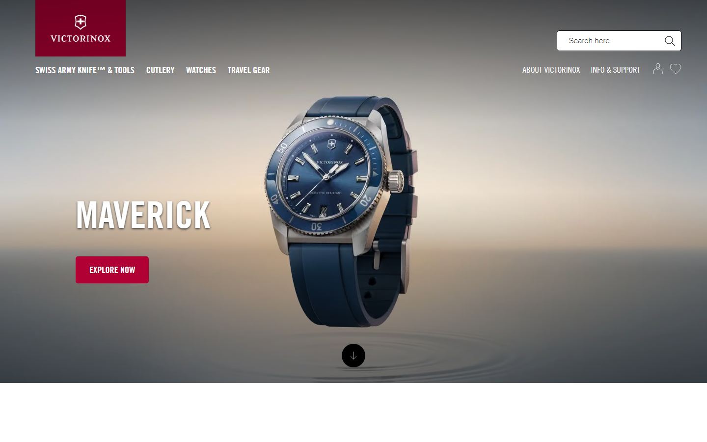Victorinox Corporate