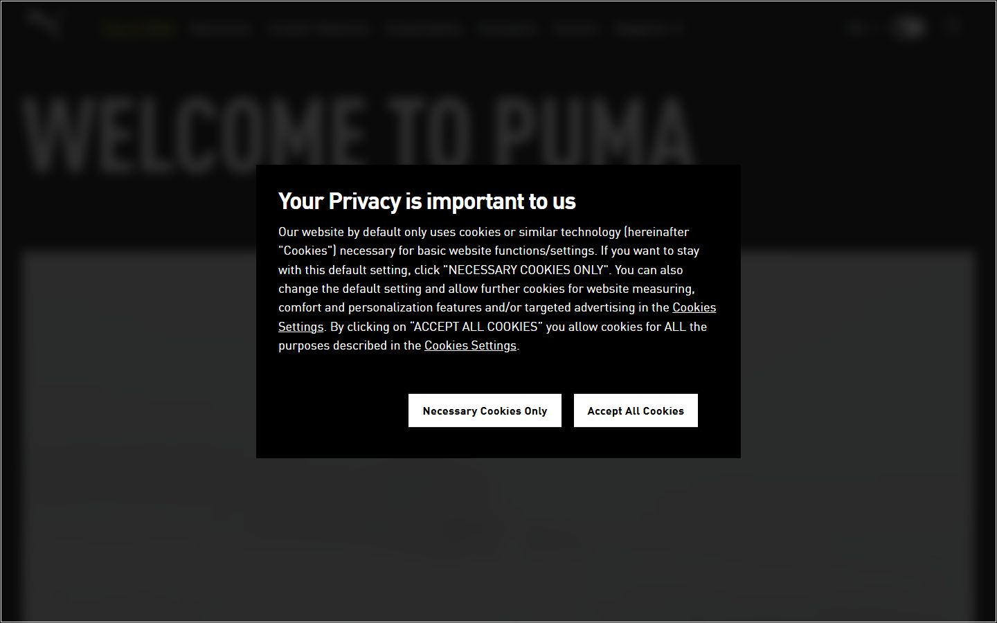 Puma Group