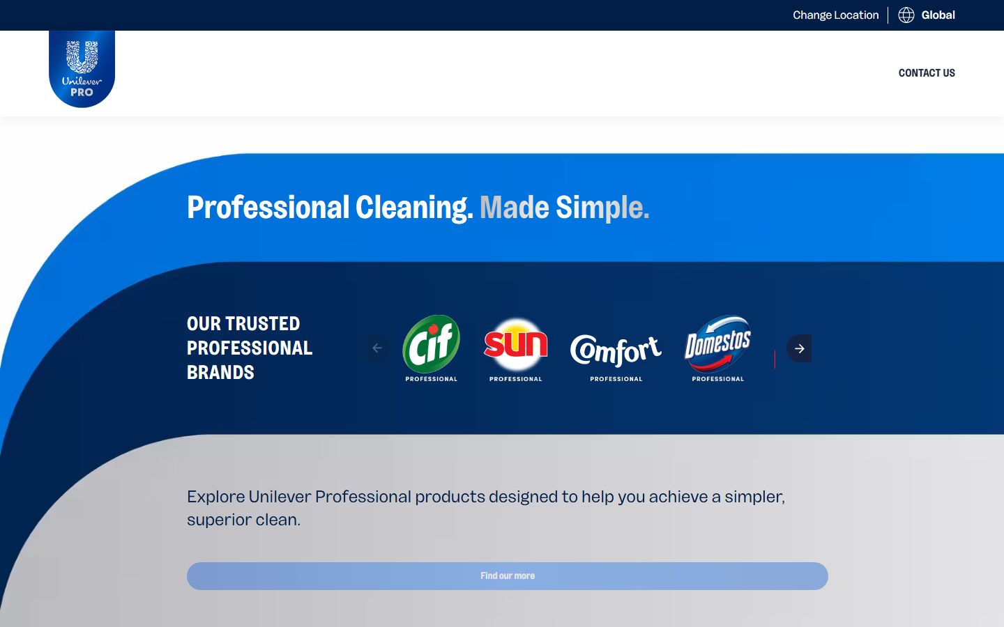 Unilever Professional
