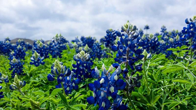 Facebook广告和Google广告怎么选？协同策略与预算分配