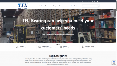 轴承英文独立站建站案例