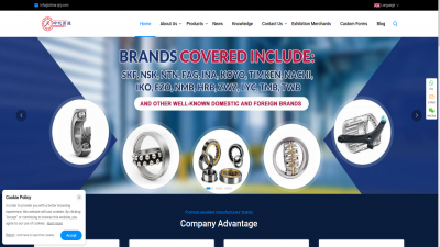 大型轴承企业外贸独立站案例