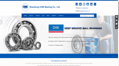 轴承独立站建站案例